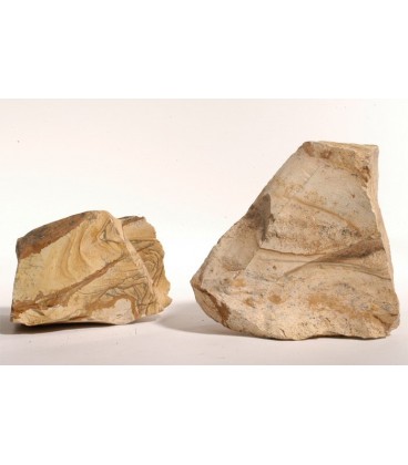 Zolux roccia decorativa tipo Picture stone pezzo singolo peso 1 kg ca.