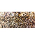 Sabbia Corallina Media granulometria 2 / 3 mm - 10Kg