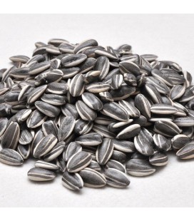 Zolux semi di girasole striato gr. 500