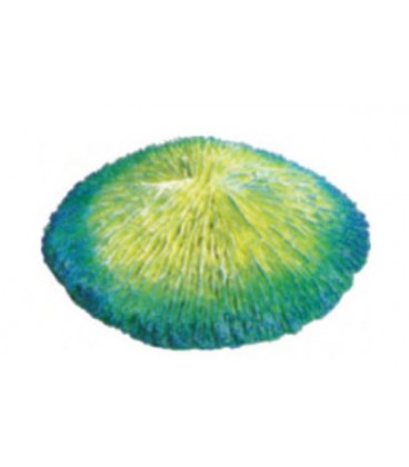 Giumar decorazione in resina corallo 15x14,5x4 cm