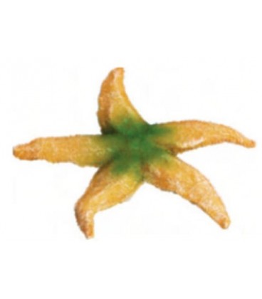 Giumar decorazione in resina stella marina 15 x13,5x1,5 cm
