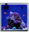 AQPet Vasca Acquario Acqua 50 Reef in total vetro extrachiaro cm50x50x50h