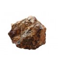 Aqpet zen stone rocce wood fossil al kilogrammo