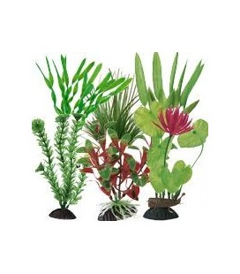 Ottavi pianta in plastica vari colori cm 15