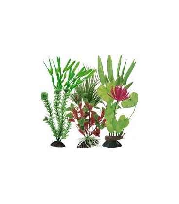Ottavi pianta in plastica vari colori cm 15