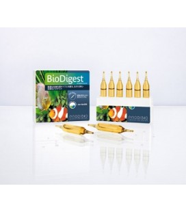 Prodibio BioDigest 6 fiale bioattivatore *NUOVA FORMULA*