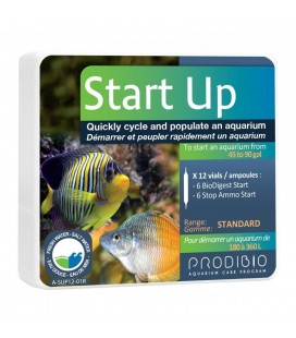 Probidio Start up 12 fiale